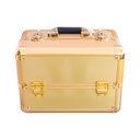 Golden Makeup Case [S2409P04]