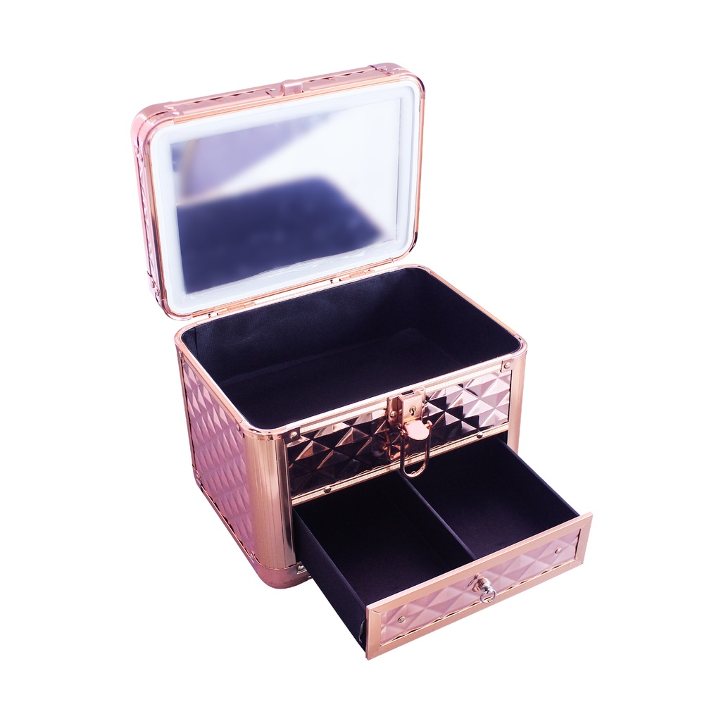 Gold Mini Makeup Case [S2409P09]