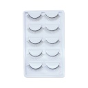 Eyelash Kit [S2502P01]