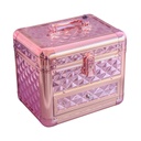 Gold Mini Makeup Case [S2409P09]