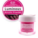 Bling Girl Luminous Acrylic Powder Nail Art System 10g #021 [3173]