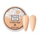 Bling Girl UV & LED 2 IN 1 Colour and Art Gel Soak-Off #025 [1459]