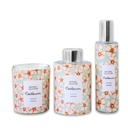 Cardamom Aroma Gift Set [S2404P25]